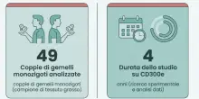 Proteina fa da "interruttore" naturale contro l'obestit&agrave;, diabete e fegato grasso: svelato il recettore CD300e