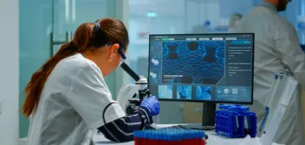 Obesit&agrave;, scoperta la proteina "interruttore" che protegge il metabolismo: pu&ograve; ridurre il rischio di diabete e fegato grasso
