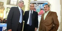 Morto Elio Cotena, pugile re d'Europa del ring e oro ai Giochi del Mediterraneo