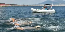 Capri-Napoli: 43 nuotatori in acqua da dieci nazioni in occasione dell?ultima prova open del 2026