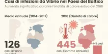 ?Vibrio e mangiacarne, i batteri in Europa con il caldo dell'estate: cosa sono, i sintomi e dove si rischia di pi&ugrave;
