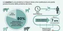 Aldo Montano in shock anafilattico per allergia alla caseina: cos'&egrave;, dove si trova, i sintomi e perch&eacute; pu&ograve; essere mortale