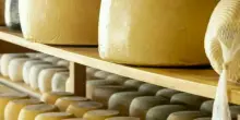 Formaggi al tartufo ritirati dal mercato per rischio listeria, l'avviso del ministero: ecco i lotti e la marca