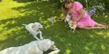 Romina Power, il gesto che commuove: adotta e salva due cuccioli di cane, erano legati a una catena
