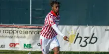 Calciomercato Salernitana, Grappa e Togo: spunta Djibril in ?casa? Cosmi