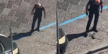 Gattina investita spostata con un calcio da un agente della municipale, esplode la polemica: &laquo;Inaccettabile&raquo;
