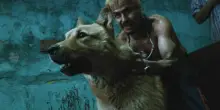 Torna "Amores Perros" restaurato. I&ntilde;&aacute;rritu: &laquo;Quel mio film &egrave; sempre attuale&raquo;