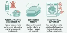 Aceto nel bucato, perch&eacute; sempre pi&ugrave; persone lo usano in lavatrice: benefici ed errori da evitare