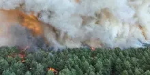 Francia, incendio nella foresta di Fontainebleau vicino a Parigi: 900 persone evacuate. &laquo;Potrebbe essere doloso&raquo;