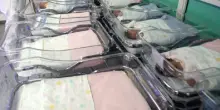 Neonate scambiate in culla ad Avellino, madre risarcita con 100 mila euro. La scoperta (dopo giorni) durante una visita medica