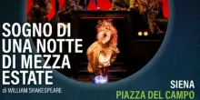 Teatri di Siena: tre serate tra Shakespeare, il mito di Tina Turner e il grande jazz dedicato a Miles Davis e John Coltrane