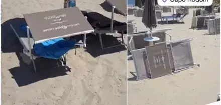 Lettini rubati a Reggio Emilia ricompaiono su una spiaggia in Albania: &laquo;Sappiamo dove sono, ma non riusciamo a riprenderli&raquo;