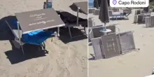 Lettini rubati a Reggio Emilia ricompaiono in Albania: &laquo;Sappiamo dove sono, non riusciamo a riprenderli&raquo;