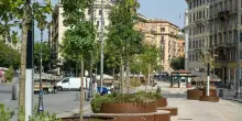 Micro-boschi a Roma per combattere il caldo: cos&igrave; il Comune vuole ridurre le temperature fino a 4 gradi
