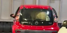 Pony chiuso nel bagagliaio dell'auto sul traghetto per Ischia: &laquo;Episodio gravissimo&raquo;, bufera sui social