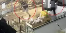 Caseificio Sociale di Casapesenna, grave furto e danni nel bene confiscato alla camorra