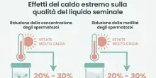 &laquo;Caldo estremo, con le notti tropicali calo del desiderio sessuale per l'uomo e rischio fertilit&agrave;&raquo;