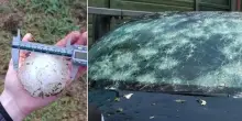 Aumentano gli eventi estremi, come proteggersi dalle maxi grandinate? Dalle assicurazioni ai teli, la guida