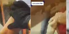 Fakir, ecco il video della bodycam di uno dei poliziotti: il marocchino era entrato in contatto con un'altra persona