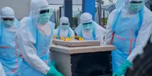 Ebola, allarme in Congo: in un giorno 200 morti e circa 350 casi. Il bollettino completo