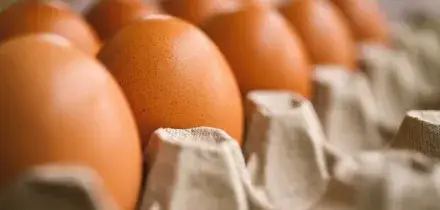 ?Uova richiamate dai supermercati, rischio salmonella. I supermercati coinvolti e di quale marca sono