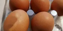 Uova fresche Aia e Selex richiamate dai supermercati: lotto a rischio salmonella. &laquo;Non compratele&raquo;