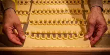 Olio e grano, Dop e fondi: il piano del ministero per blindare l?oro del Sud