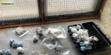 Droga a chef e skipper nella penisola Sorrentina, 6 misure cautelari: 4 gli arresti