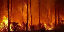Una nuvola di fuoco nei cieli della Spagna e della Francia: cos'&egrave; un pirocumulonembo e perch&eacute; ora gli incendi sono incontrollabili