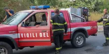 Cerca di salvare un animale e cade in un canale: donna statunitense salvata