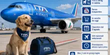 &laquo;Anche i cani grandi a bordo degli aerei Ita Airways&raquo;. Via il 3 agosto con ?Large Dog On Board?