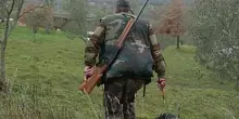 Cacciatore spara e uccide un cane, dovr&agrave; risarcire la proprietaria con 5 mila euro. &laquo;Condotta imprudente della proprietaria&raquo;?