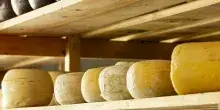 Mattia Maestri &egrave; morto dopo 9 anni di coma, aveva mangiato formaggio a latte crudo quando ne aveva 4. Il pap&agrave;: &laquo;Il nostro bambino ci ha lasciati&raquo;