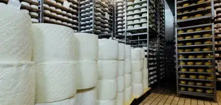 Mattia Maestri, morto dopo 9 anni di stato vegetativo il bimbo che mangi&ograve; formaggio a latte crudo contaminato