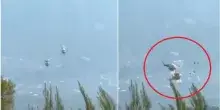 Due elicotteri antincendio si scontrano ad Atene. La capitale greca &egrave; da giorni assediata dai roghi. Due piloti vivi