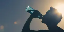 Quanta acqua bere in estate? I veri bisogni del corpo e le strategie per prevenire carenze o eccessi