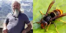 Manuel Mongini morto dopo la puntura di un calabrone: il noto ornitologo aveva 74 anni, probabile choc anafilattico
