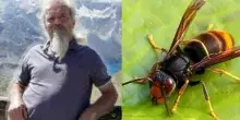 Manuel Mongin, il noto ornitologo morto dopo la puntura di un calabrone