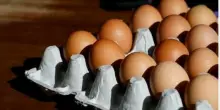 Uova richiamate per rischio salmonella: ecco i sintomi e che cosa fare