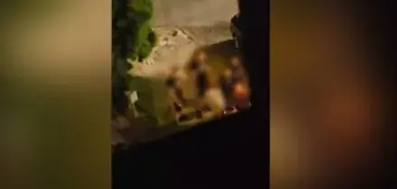 Naziskin provano ad attaccare hotel che ospita ragazzi ebrei italiani a Sofia, l'assalto al grido di &laquo;Sieg Heil&raquo;