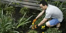 Il giardinaggio fa bene alla salute? I benefici per corpo, mente e i dati sulla longevit&agrave; (per tutti)