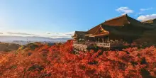 Autunno in Giappone, ?dove e quando ammirare il foliage dalle vette dell'Hokkaido a Kyoto: la guida completa