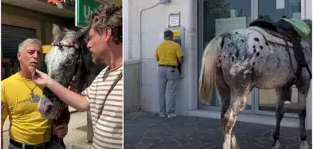 Benzina a 2,40 euro, va alle Poste col cavallo al posto dell'auto: &laquo;Maya consuma un euro al giorno. Speriamo non mettano le accise sulla biada&raquo;