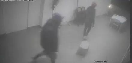 Torino, vede un ladro in casa con la telecamera da remoto e chiama i carabinieri: l'uomo arrestato dopo un inseguimento