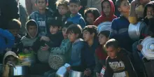 Premio Nobel ai bambini di Gaza, l'appello su ?Avvenire?: Schlein e molti dem aderiscono