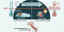 Calza di riso nel congelatore, il rimedio fai da te contro il caldo estremo delle notti tropicali