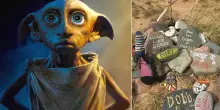 Cavo sottomarino da 580 milioni spostato per non rovinare la ?tomba? di Dobby, l'elfo di Harry Potter
