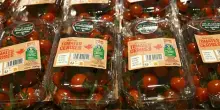 Imballaggi, nuove regole Ue dal 12 agosto: cosa cambia per chi fa la spesa al supermercato. Il nodo italiano