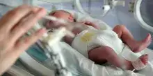 Nonni rapiscono il nipote neonato dall'ospedale: alla madre era stato revocato l'affidamento. La fuga in auto sull'A1