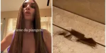 Elettra Lamborghini, la decolorazione finisce male e ci d&agrave; un taglio (con le forbici da cucina): &laquo;Barbie passione esaurimento. Mi sento Britney Spears nel 2007&raquo;